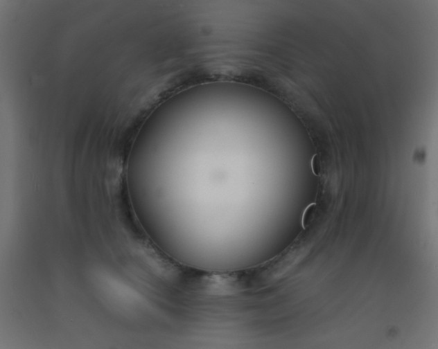 X0000092290660200709281307