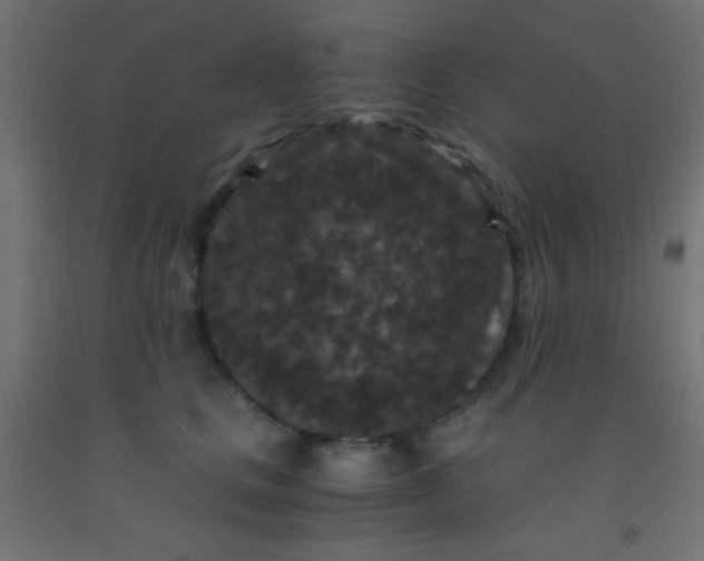 X0000092290661200709281307