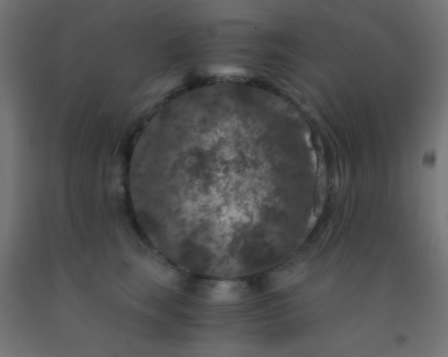 X0000092290663200709281307