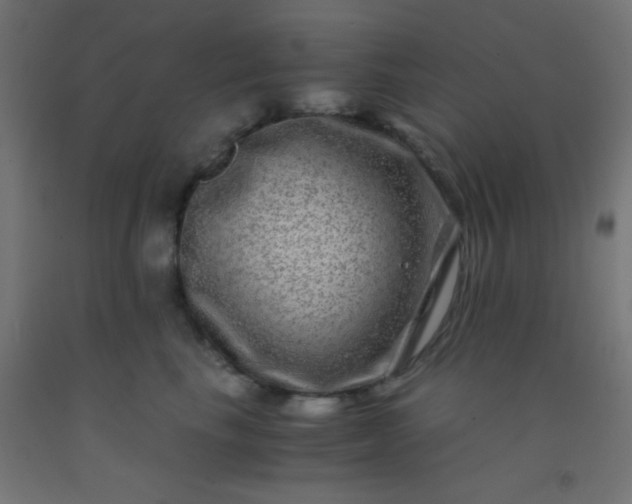 X0000092290665200709281307