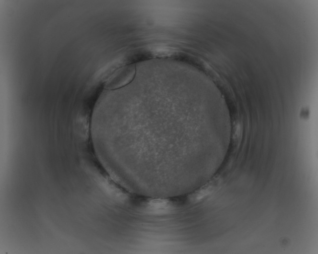 X0000092290666200709281307