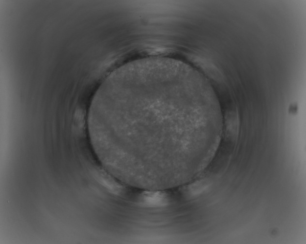 X0000092290667200709281307