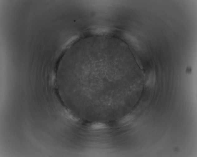 X0000092290669200709281307