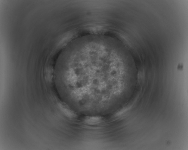 X0000092290671200709281307