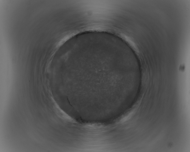 X0000092290673200709281306