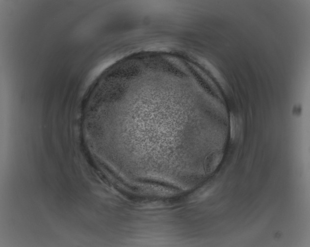 X0000092290675200709281306