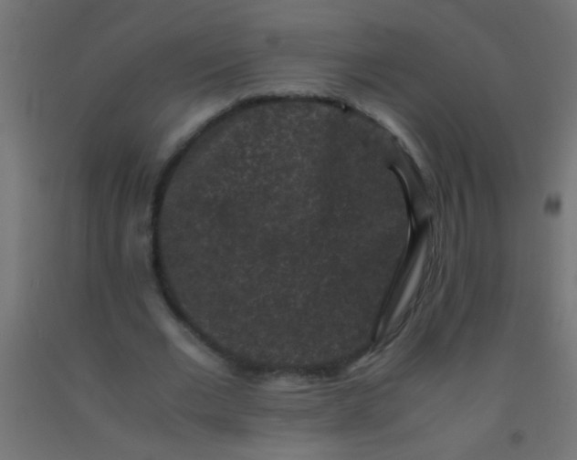 X0000092290677200709281306