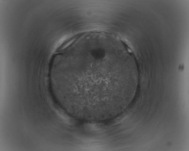 X0000092290679200709281306