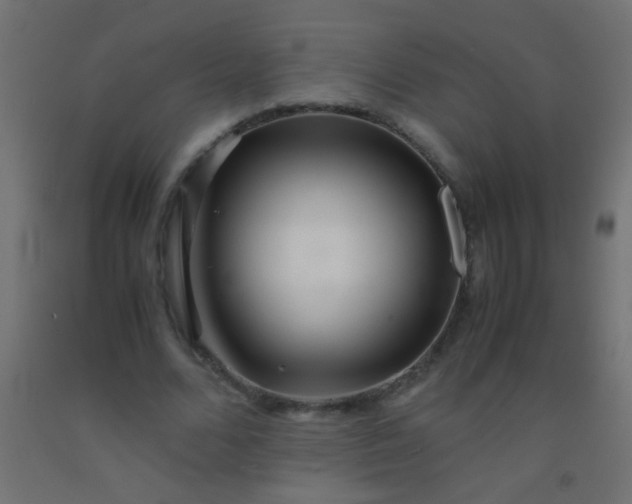 X0000092290680200709281306