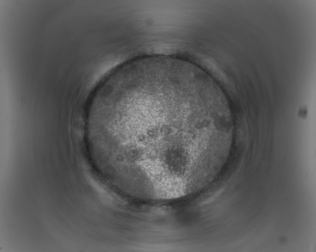 X0000092290683200709281306