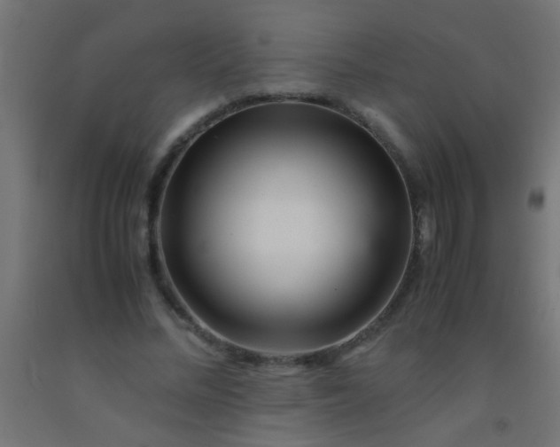 X0000092290684200709281306