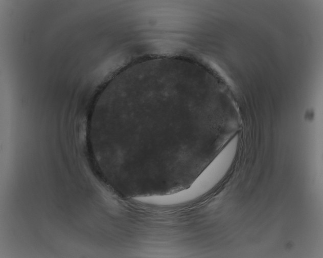 X0000092290685200709281306