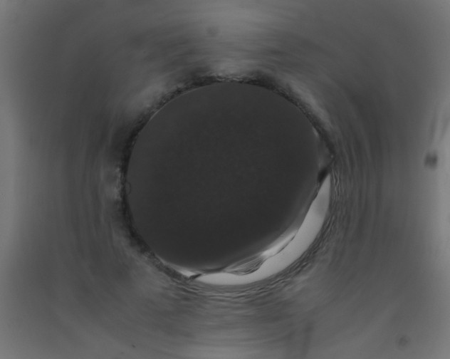 X0000092290689200709281306