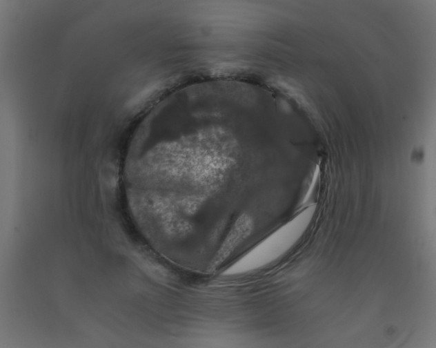 X0000092290691200709281306