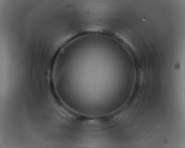 X0000092290692200709281306