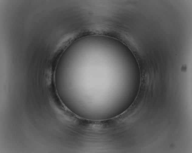 X0000092290694200709281306