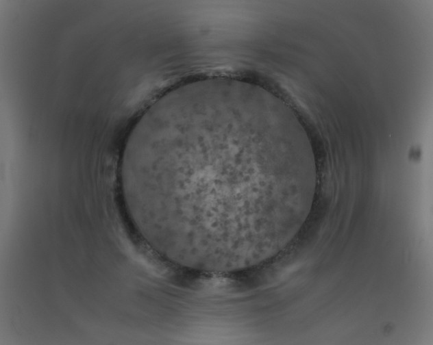 X0000092290695200709281306