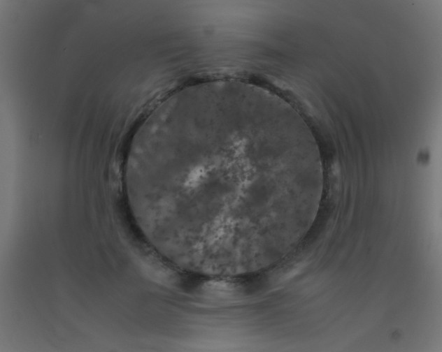 X0000092290699200709281306