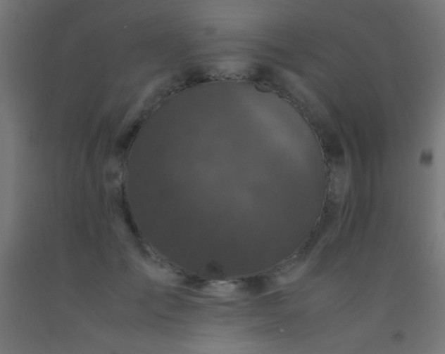 X0000092290701200709281306