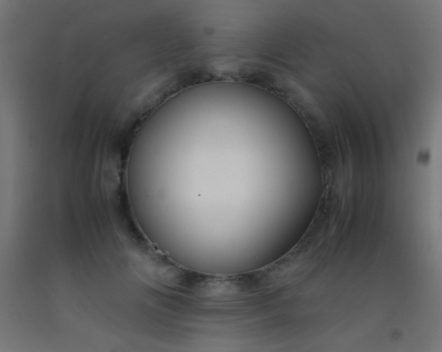 X0000092290702200709281306