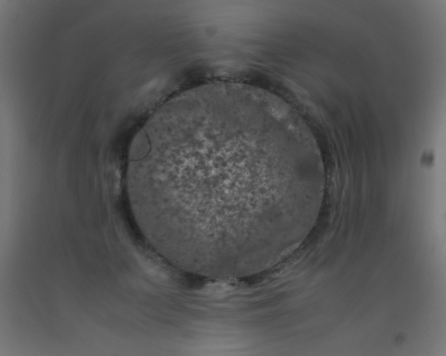 X0000092290703200709281306