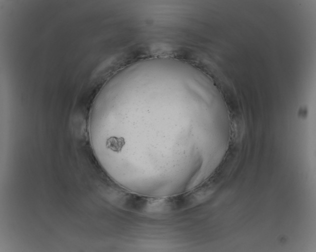 X0000092290705200709281306