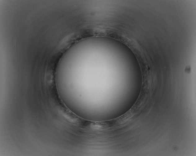 X0000092290706200709281306