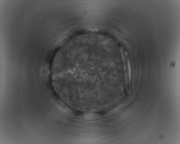 X0000092290707200709281306