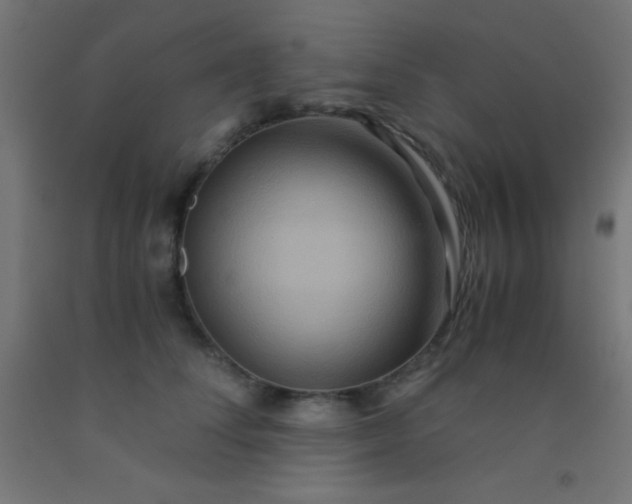 X0000092290708200709281306