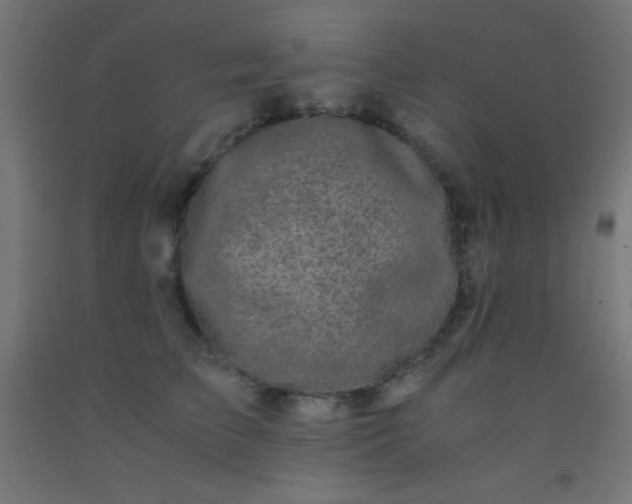 X0000092290709200709281306