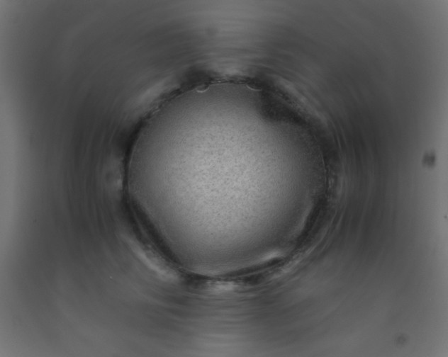 X0000092290710200709281306