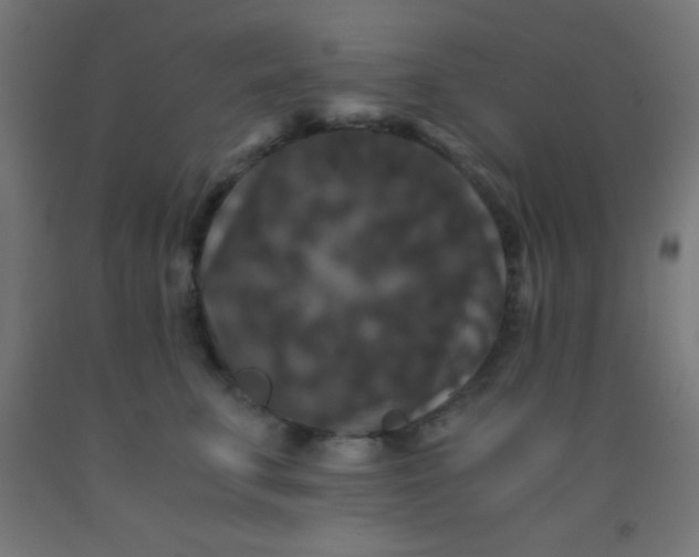 X0000092290711200709281306