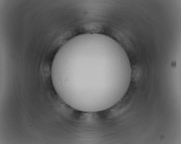 X0000092290713200709281306