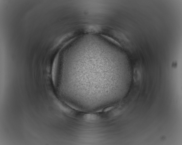 X0000092290714200709281306