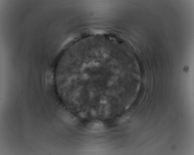 X0000092290715200709281306