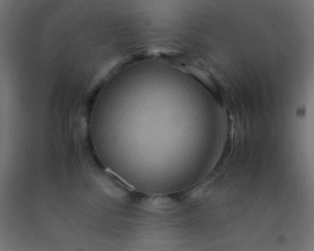 X0000092290716200709281306