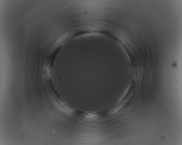 X0000092290718200709281306