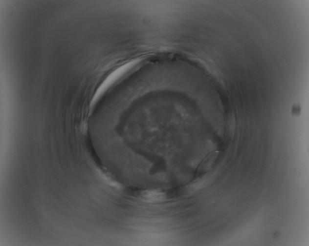 X0000092290719200709281306