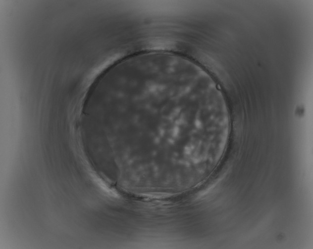 X0000092290721200709281305