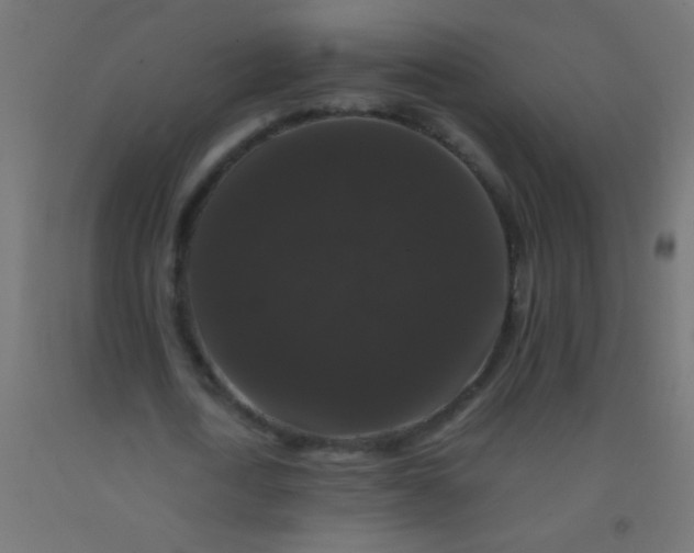 X0000092290722200709281305