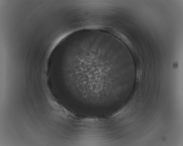 X0000092290724200709281305