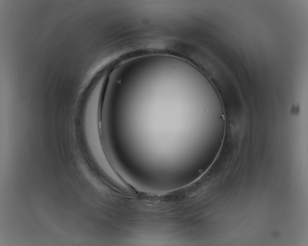 X0000092290728200709281305