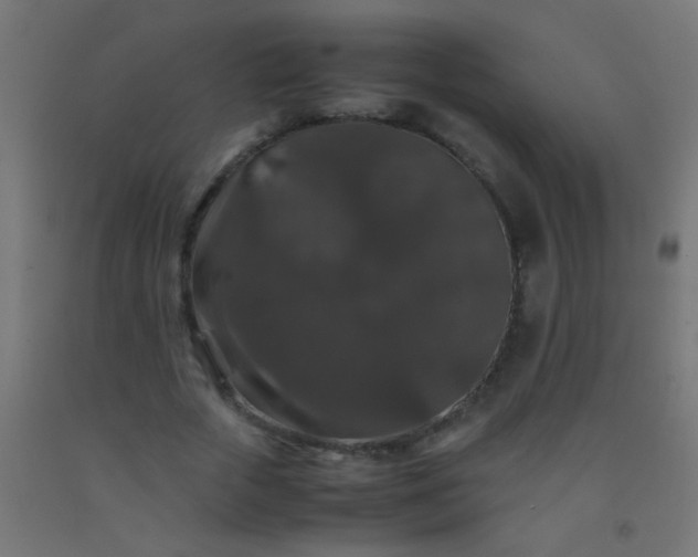 X0000092290729200709281305