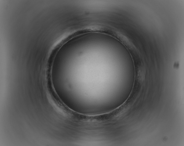 X0000092290730200709281305