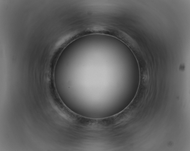 X0000092290732200709281305