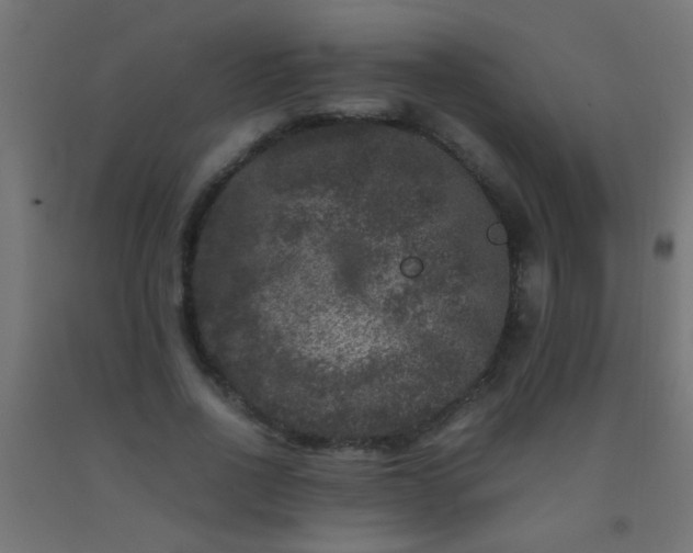 X0000092290734200709281305