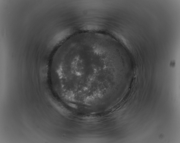 X0000092290735200709281305