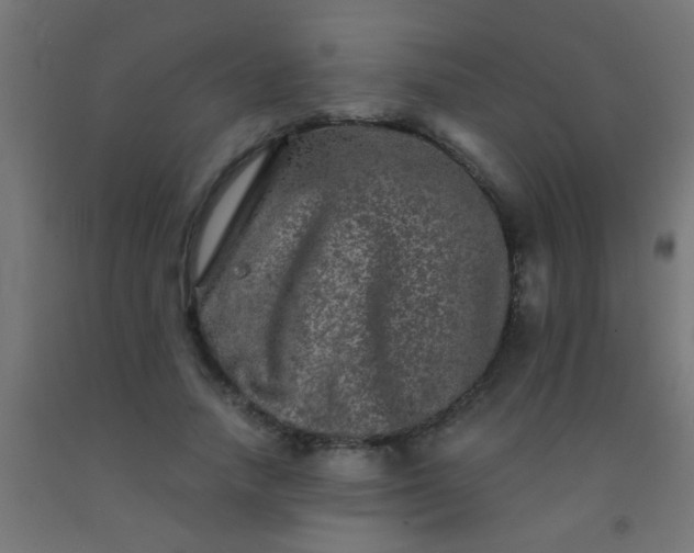 X0000092290738200709281306