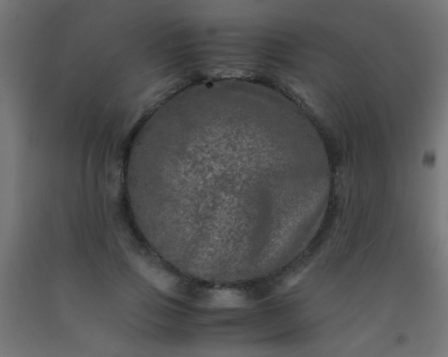 X0000092290741200709281306