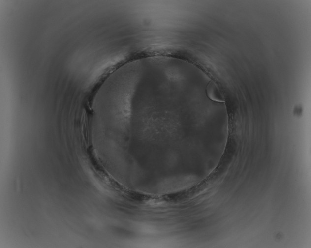 X0000092290742200709281306